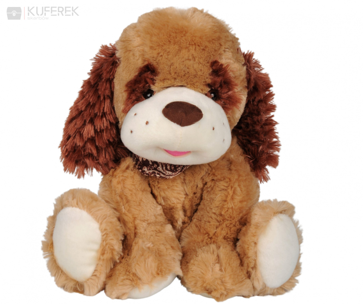 Pluszowy Pies Arek, siedząca maskotka wielkości 35cm