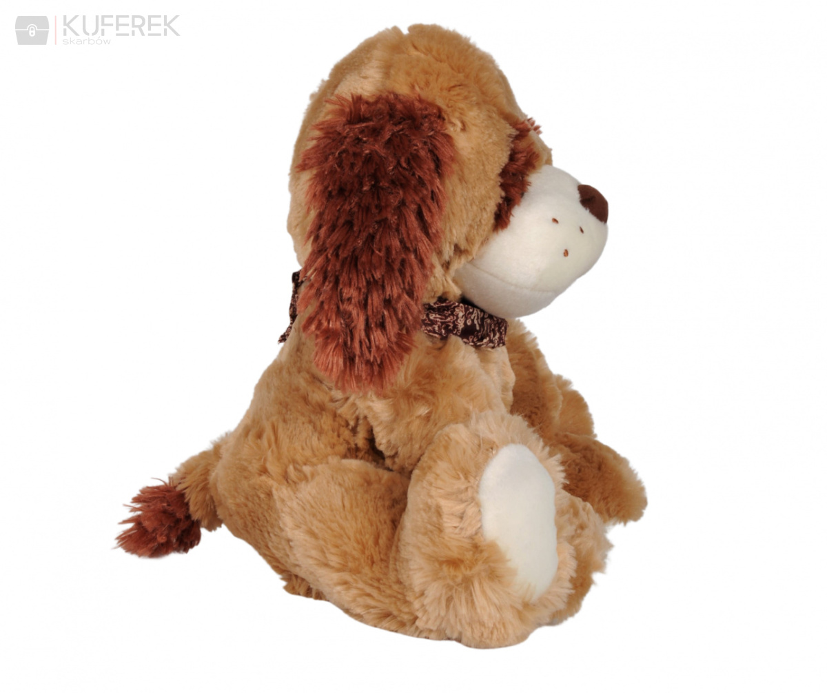 Pluszowy Pies Arek, siedząca maskotka wielkości 35cm