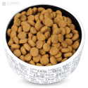 Miska dla psa ceramiczna na jedzenie, picie z napisami 15,5 x 6cm